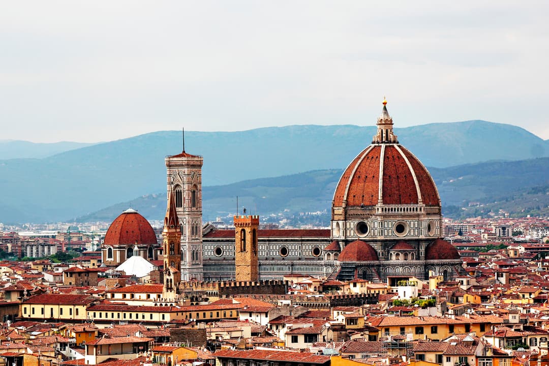 Florence: Art and History tour img